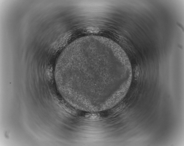X0000102460559200808291544