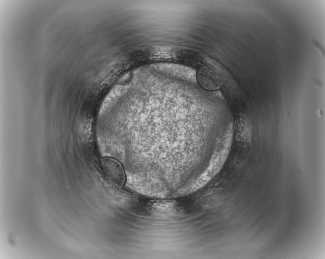 X0000102460560200808291544