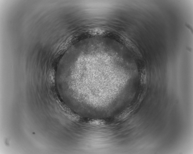 X0000102460561200808291544