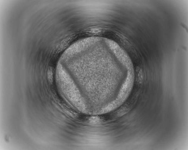 X0000102460562200808291544