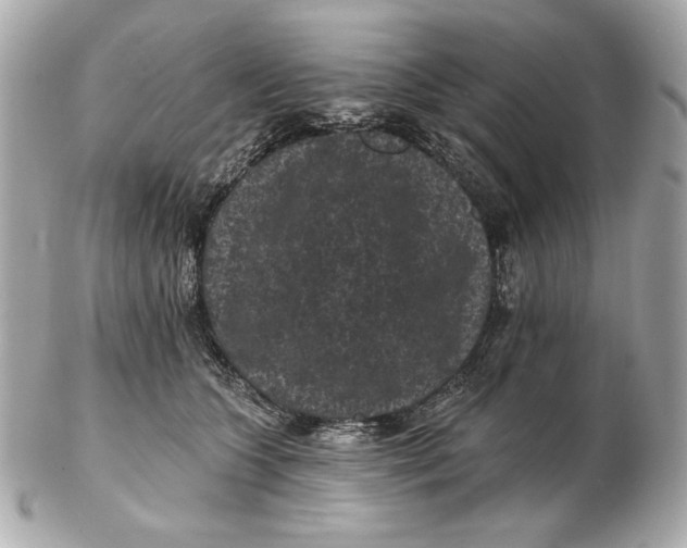 X0000102460563200808291544