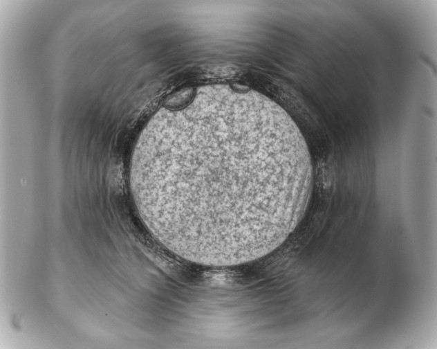 X0000102460564200808291544