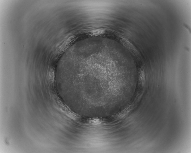 X0000102460565200808291545