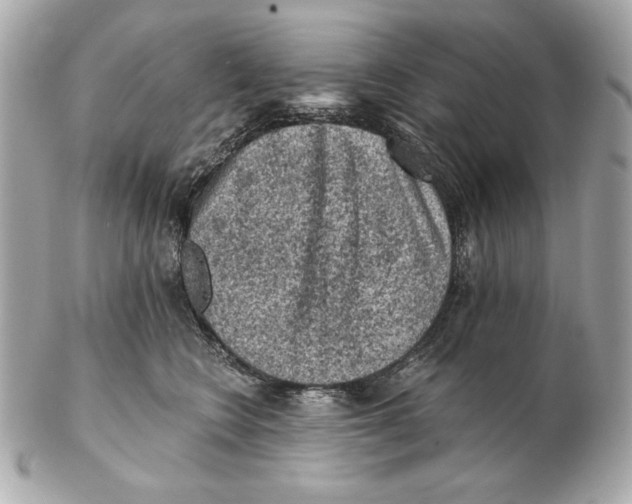 X0000102460566200808291545