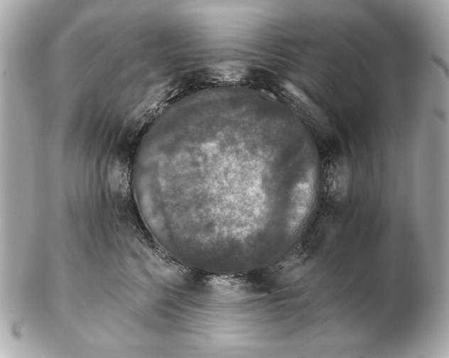 X0000102460568200808291545