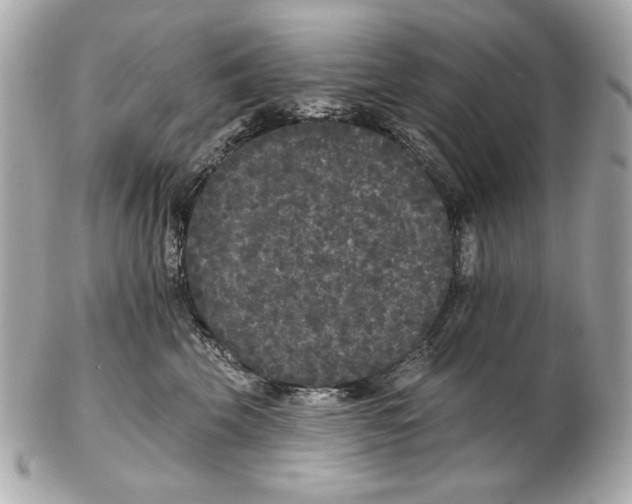 X0000102460569200808291545