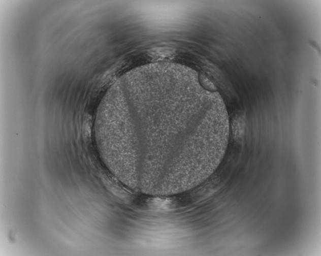 X0000102460570200808291545