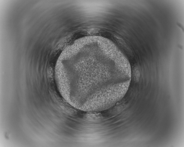 X0000102460571200808291545
