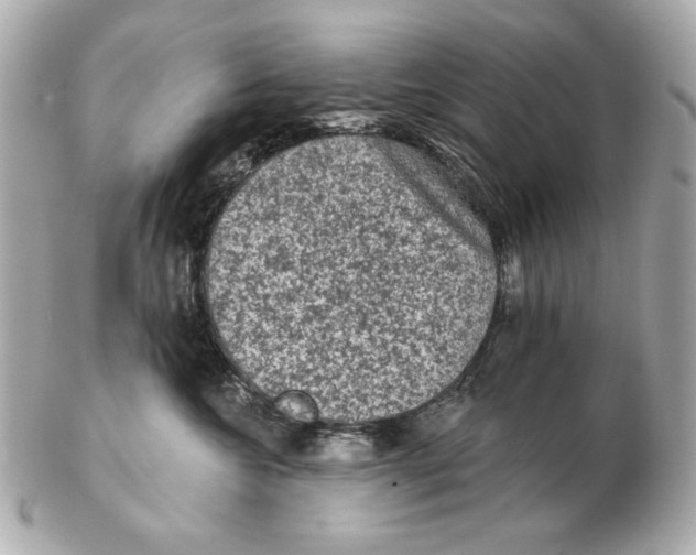 X0000102460572200808291545