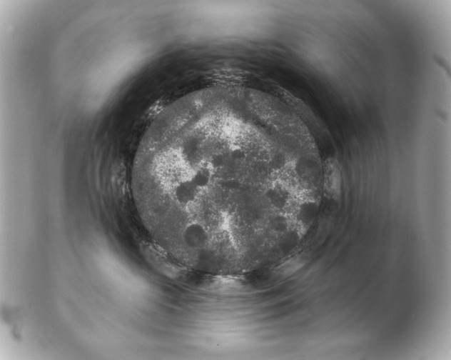 X0000102460573200808291545