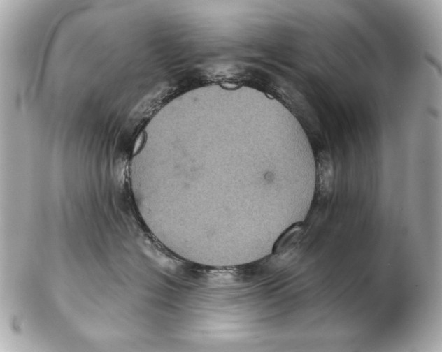 X0000102460574200808291545