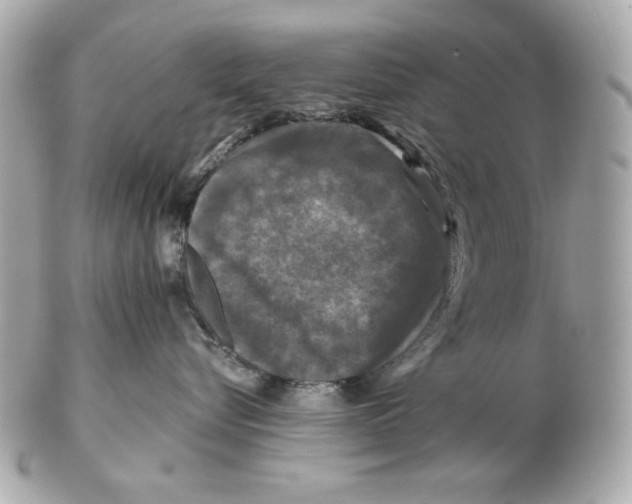 X0000102460576200808291545
