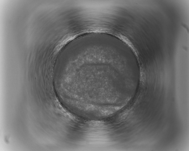 X0000102460577200808291544