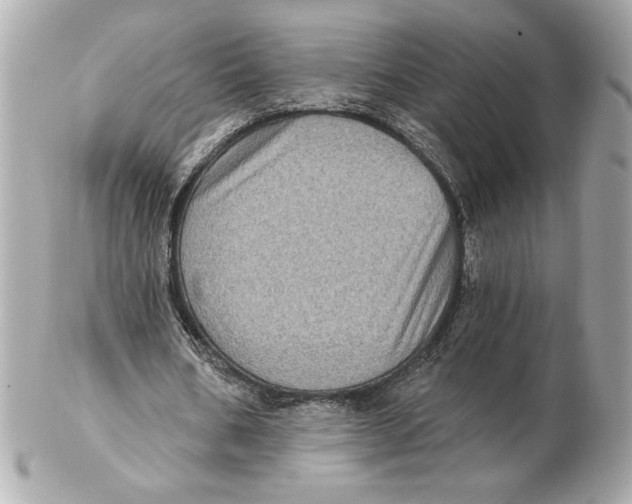 X0000102460578200808291544