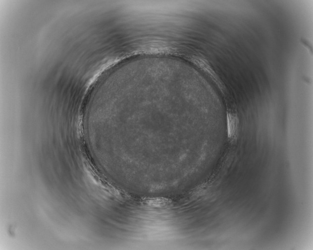 X0000102460579200808291544