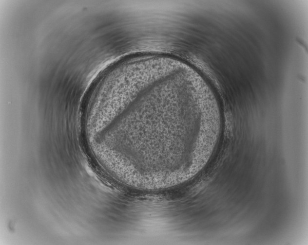 X0000102460580200808291544