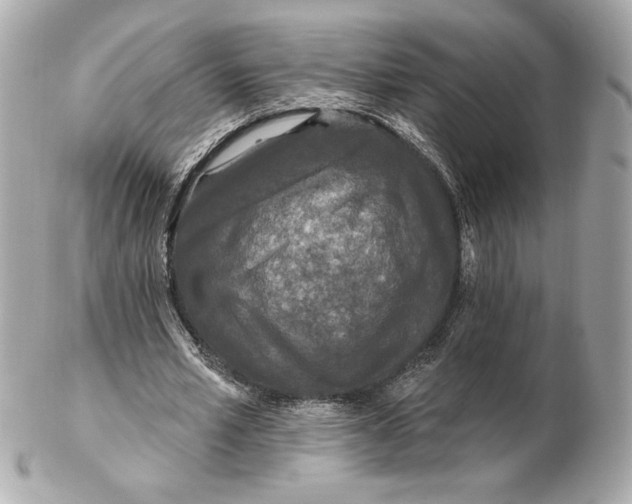 X0000102460581200808291544
