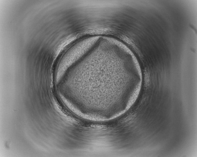 X0000102460582200808291544