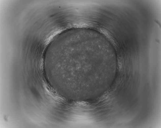 X0000102460583200808291544