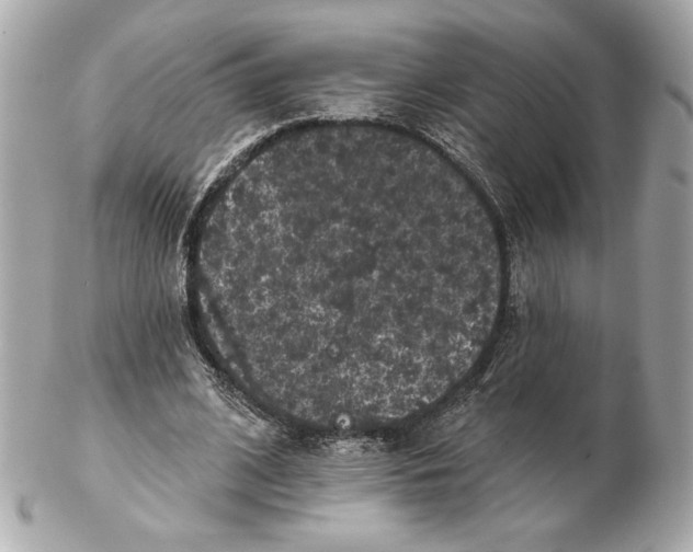 X0000102460584200808291544