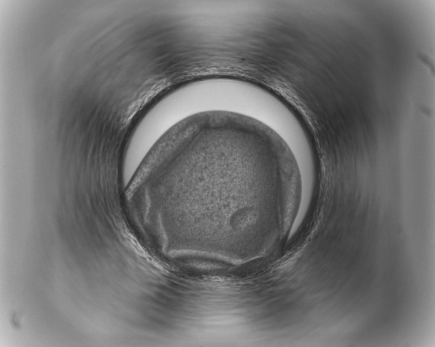 X0000102460585200808291544
