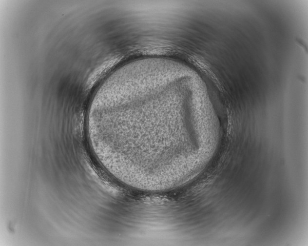 X0000102460586200808291544