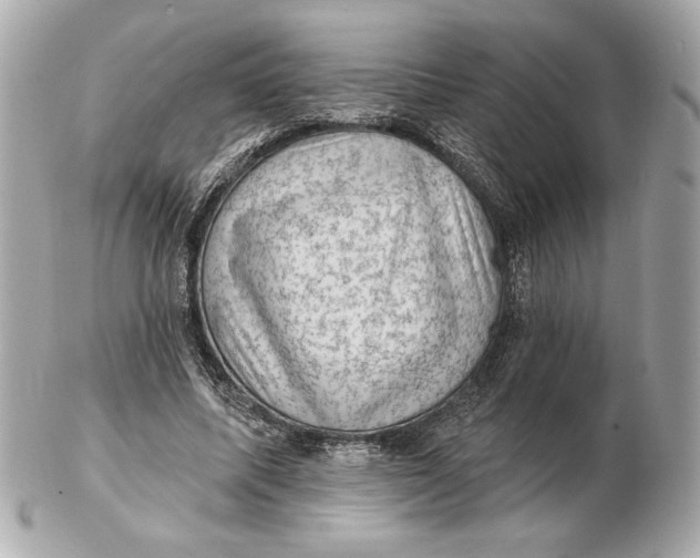 X0000102460587200808291544