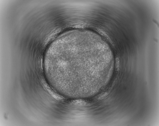 X0000102460589200808291544