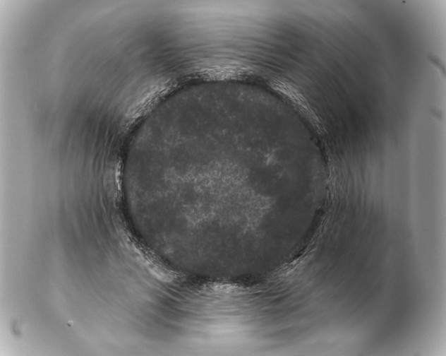 X0000102460590200808291544