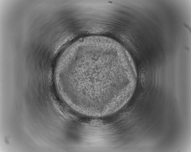 X0000102460591200808291544