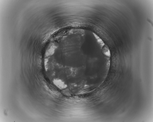 X0000102460592200808291544