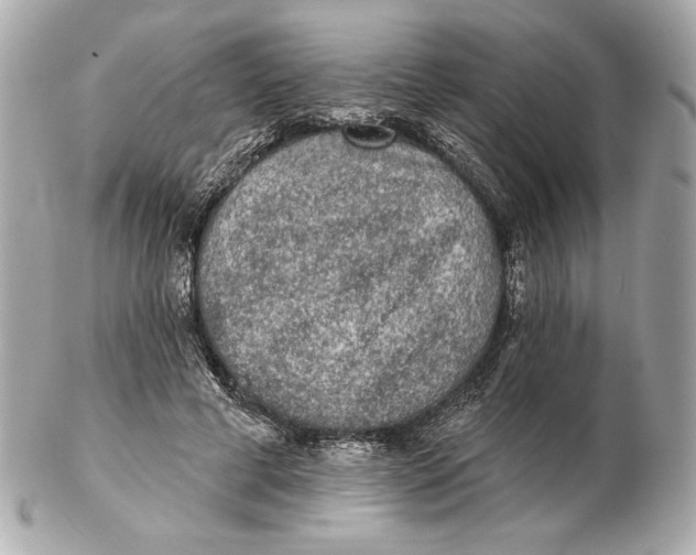 X0000102460593200808291544
