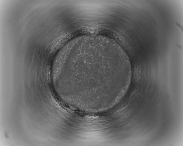 X0000102460594200808291544