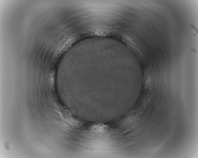 X0000102460595200808291544