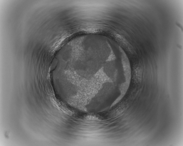 X0000102460596200808291544