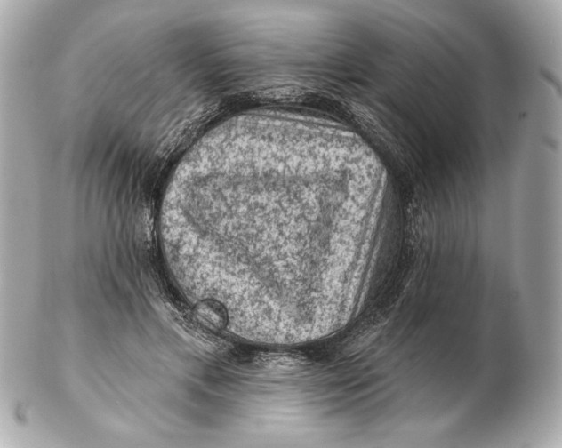 X0000102460597200808291544