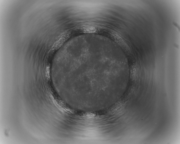 X0000102460598200808291544