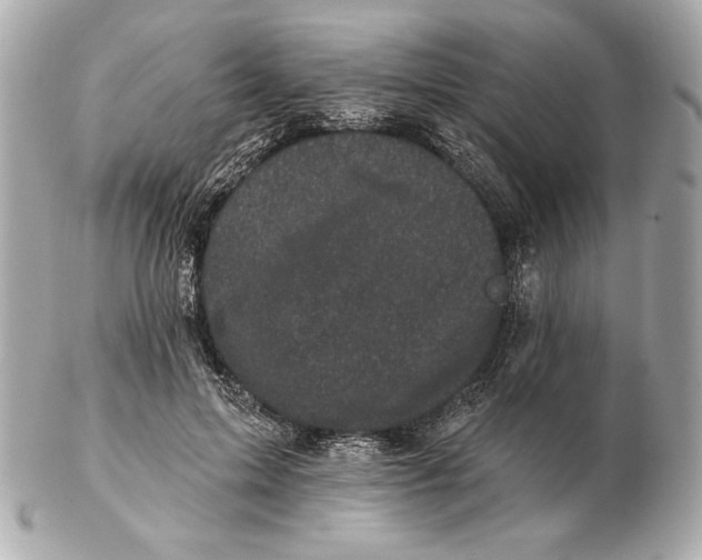 X0000102460599200808291544
