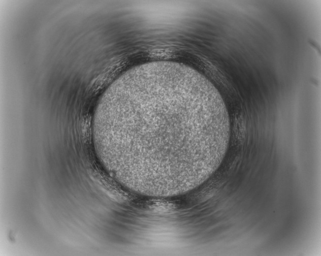 X0000102460601200808291544