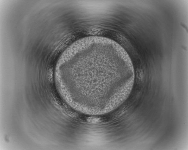 X0000102460602200808291544
