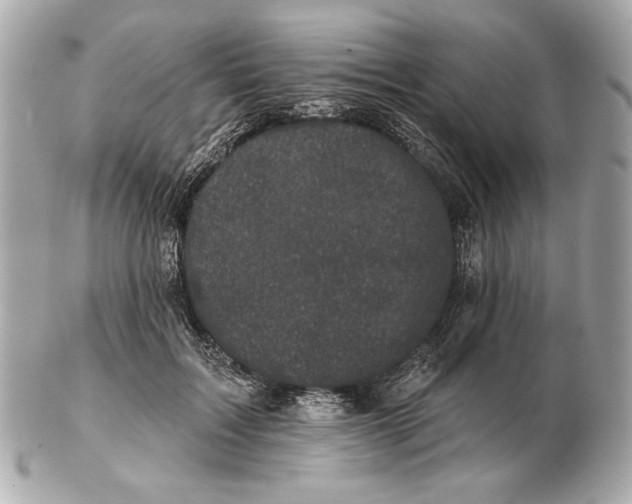 X0000102460603200808291544