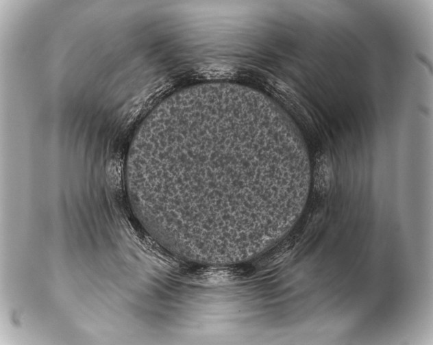 X0000102460604200808291544