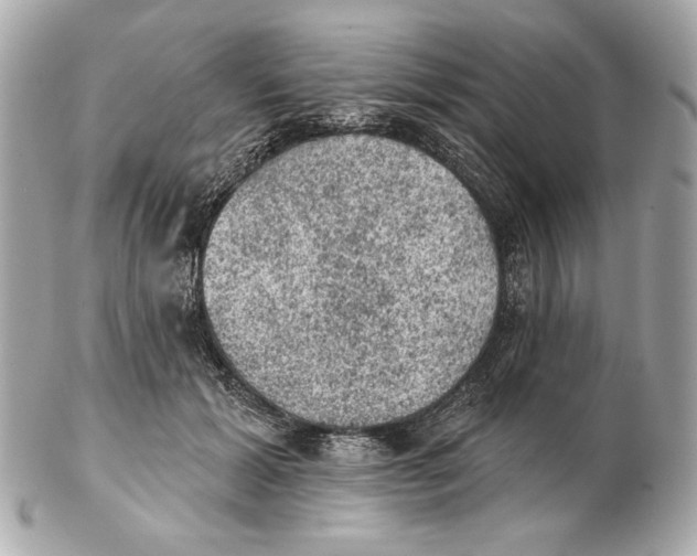 X0000102460605200808291544