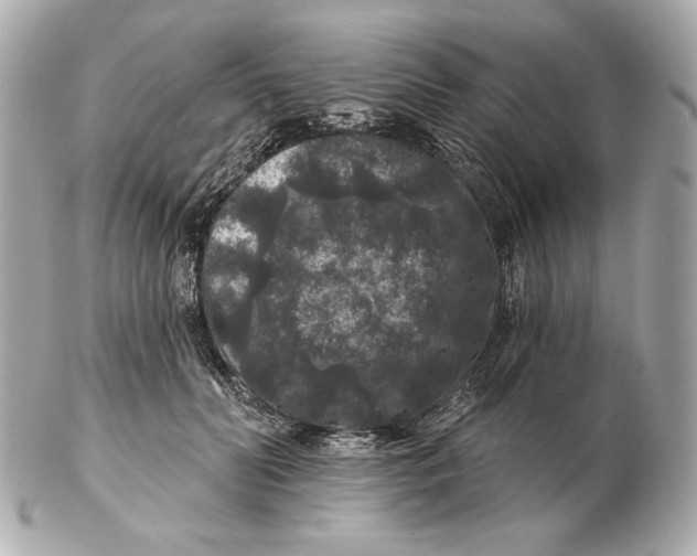 X0000102460606200808291544