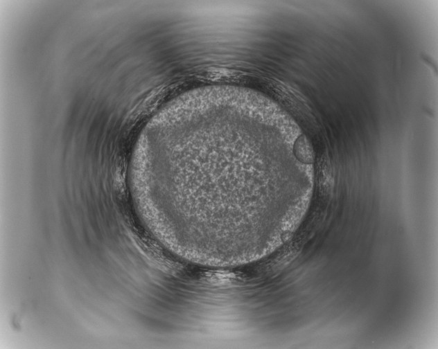 X0000102460607200808291544
