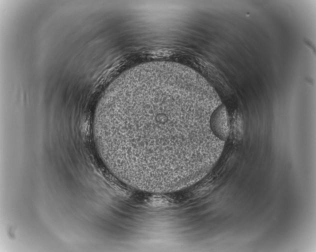 X0000102460608200808291544