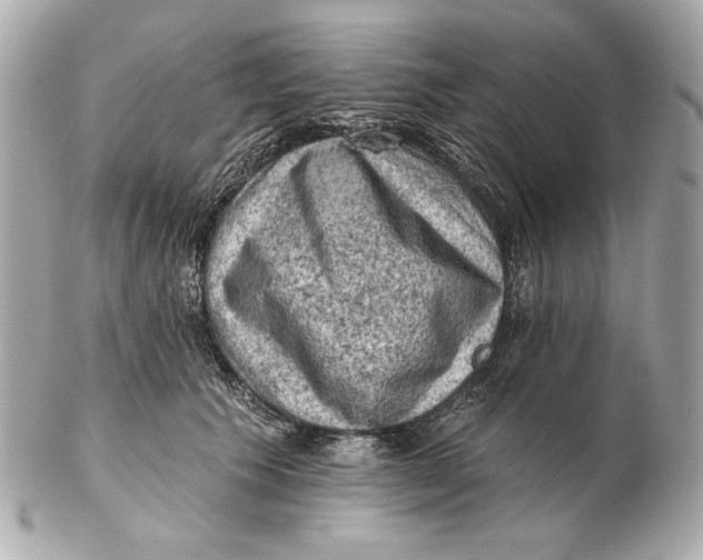 X0000102460609200808291544