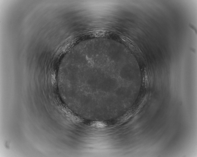 X0000102460610200808291544