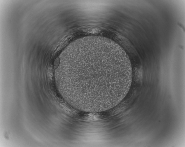 X0000102460612200808291544