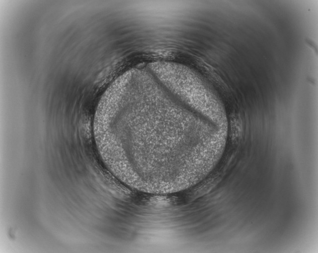 X0000102460613200808291543